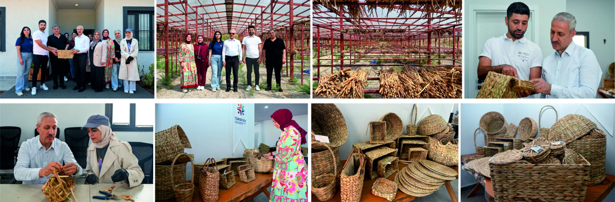 HMKÜ REKTÖRÜ EREN, SU SÜMBÜLÜ REHABİLİTASYON ÇALIŞMALARINI YERİNDE İNCELEDİ